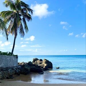 Meet your Posher, Janna